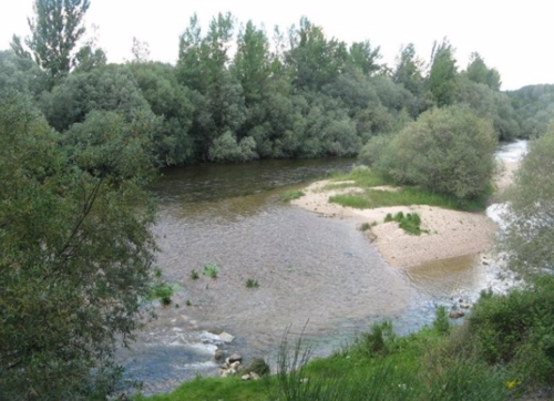 imagen 4 de Finca agrícola de 200.000m2 en la comunidad de Madrid