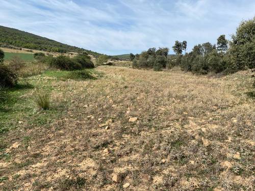 imagen 4 de Terrenos en venta en Los Cortijos
