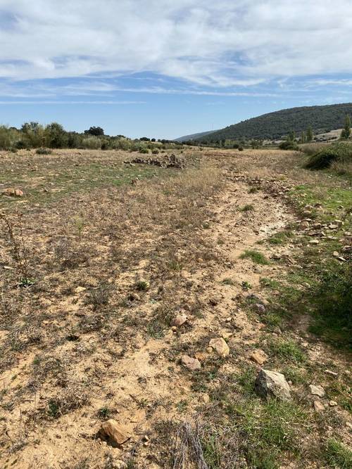 imagen 6 de Terrenos en venta en Los Cortijos