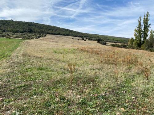 imagen 5 de Terrenos en venta en Los Cortijos