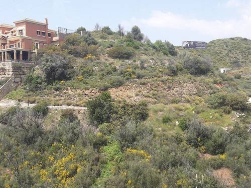 imagen 5 de PARCELAS EN EL ROSARIO