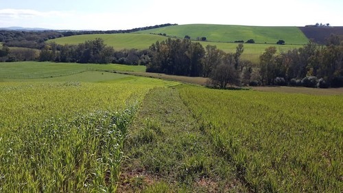 imagen 16 de Finca con casa reformada