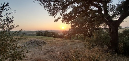 imagen 18 de Finca con casa reformada