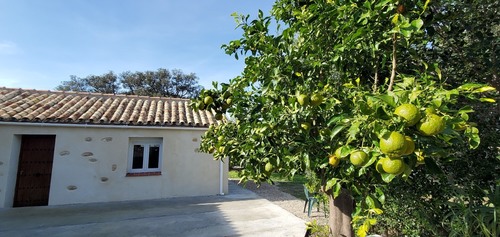 imagen 1 de Finca con casa reformada