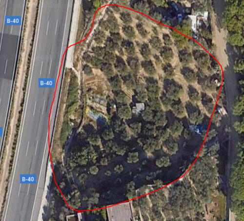 imagen 1 de Terreno con Olivos 4000m2