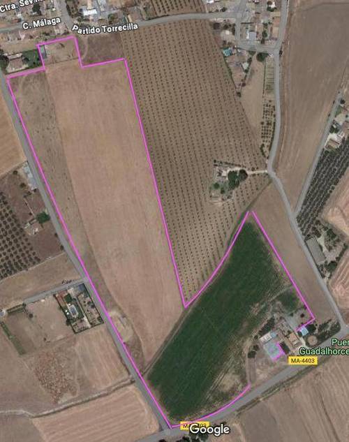 imagen 9 de SE VENDE CORTIJO Y PARCELAS