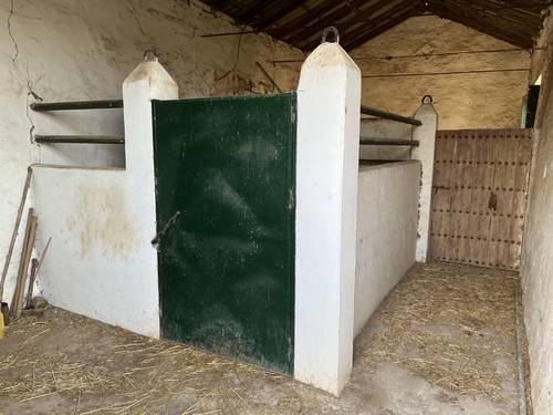 imagen 13 de SE VENDE CORTIJO Y PARCELAS