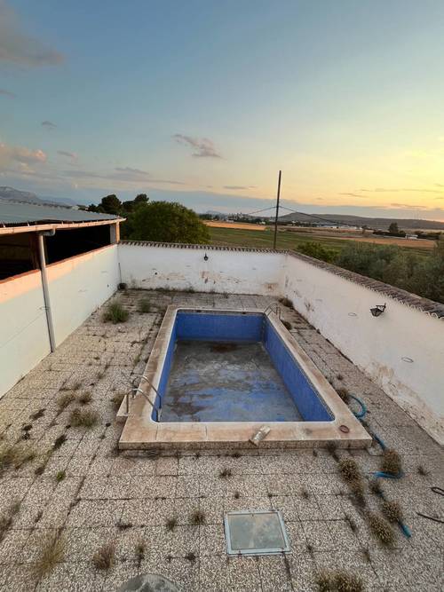 imagen 20 de SE VENDE CORTIJO Y PARCELAS