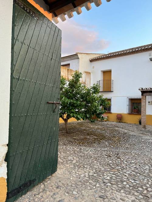 imagen 8 de SE VENDE CORTIJO Y PARCELAS
