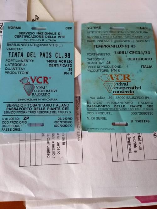 imagen 3 de VENDO VIÑEDOS EN D.O. RIBERA DE DUERO