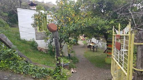 imagen 1 de Finca rustica