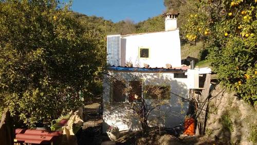 imagen 2 de Finca rustica