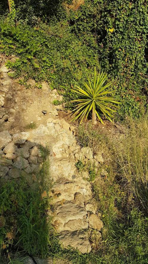 imagen 9 de Finca rustica
