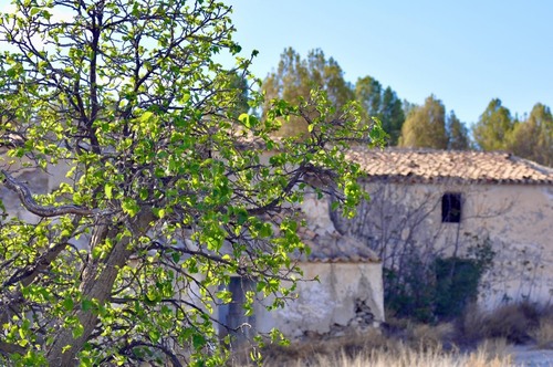 imagen 2 de Finca rústica Nogalte