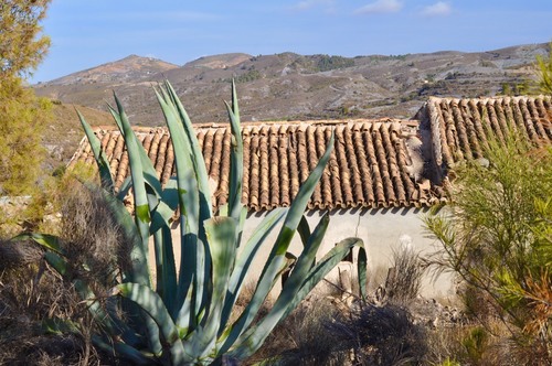 imagen 1 de Finca rústica Nogalte