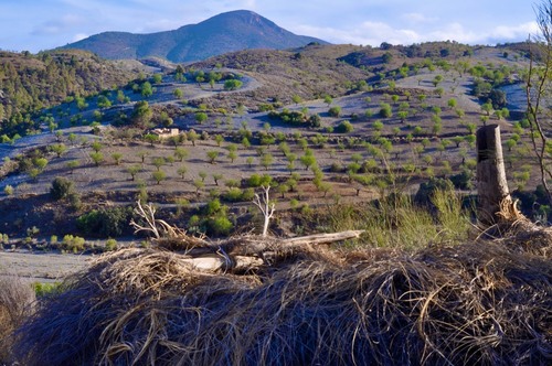 imagen 7 de Finca rústica Nogalte