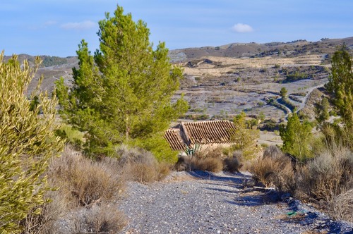 imagen 6 de Finca rústica Nogalte