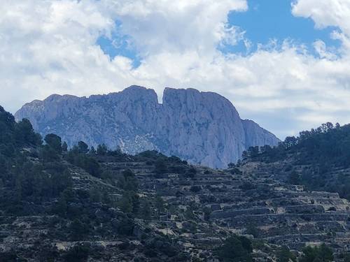 imagen 26 de Finca de 30 Ha a 20 kms de Benidorm y en plena naturaleza