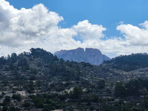 imagen 25 de Finca de 30 Ha a 20 kms de Benidorm y en plena naturaleza