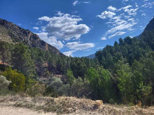imagen 3 de Finca de 30 Ha a 20 kms de Benidorm y en plena naturaleza