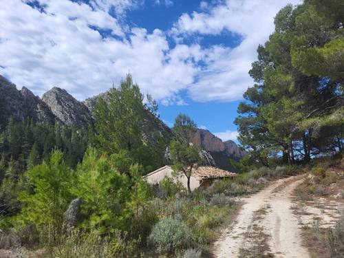 imagen 6 de Finca de 30 Ha a 20 kms de Benidorm y en plena naturaleza