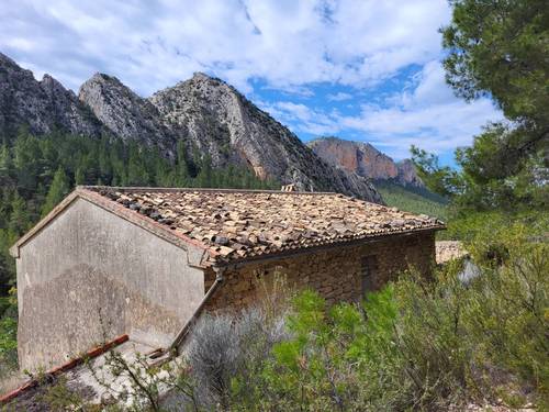 imagen 17 de Finca de 30 Ha a 20 kms de Benidorm y en plena naturaleza