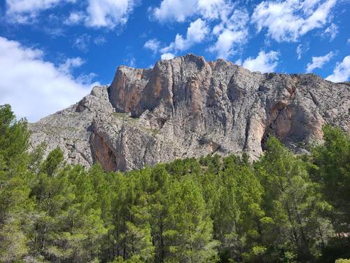 imagen 20 de Finca de 30 Ha a 20 kms de Benidorm y en plena naturaleza