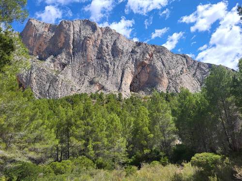 imagen 22 de Finca de 30 Ha a 20 kms de Benidorm y en plena naturaleza