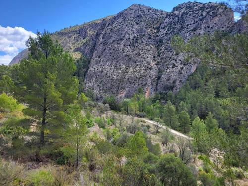 imagen 28 de Finca de 30 Ha a 20 kms de Benidorm y en plena naturaleza