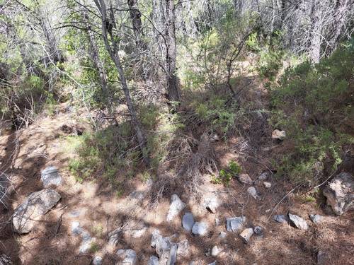 imagen 16 de Finca de 30 Ha a 20 kms de Benidorm y en plena naturaleza