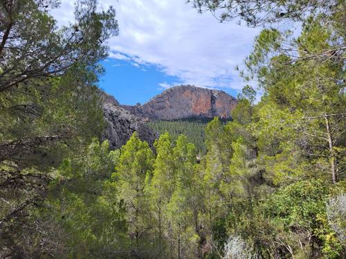 imagen 18 de Finca de 30 Ha a 20 kms de Benidorm y en plena naturaleza