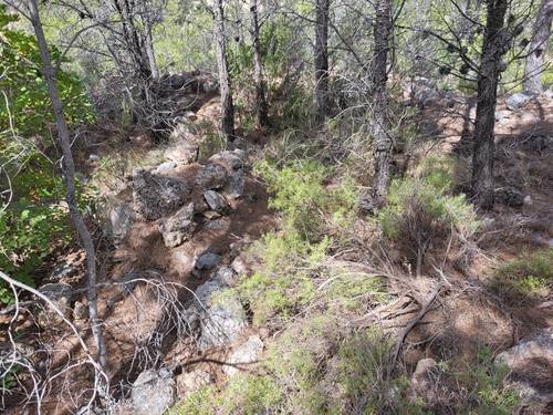 imagen 21 de Finca de 30 Ha a 20 kms de Benidorm y en plena naturaleza