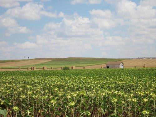 imagen 1 de Finca de regadío 34,5Has con zona de recreo