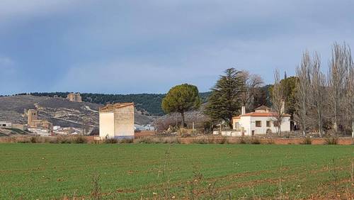 imagen 19 de Finca de regadío 34,5Has con zona de recreo