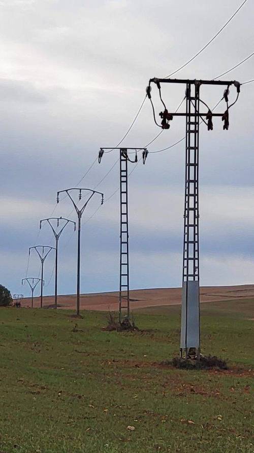 imagen 17 de Finca de regadío 34,5Has con zona de recreo