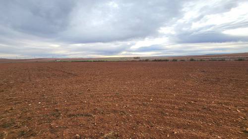 imagen 18 de Finca de regadío 34,5Has con zona de recreo