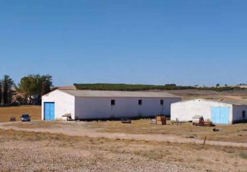 imagen 20 de Finca de regadío 34,5Has con zona de recreo