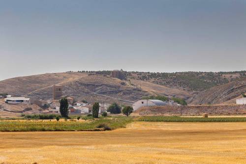 imagen 13 de Finca de regadío 34,5Has con zona de recreo
