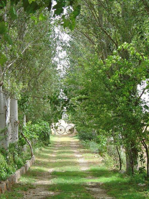 imagen 21 de Finca de regadío 34,5Has con zona de recreo