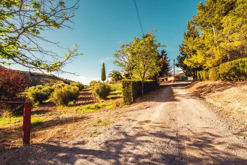 imagen 21 de El cortijo donde tus sueños se convierten en realidad