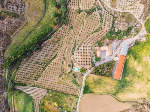 imagen 2 de El cortijo donde tus sueños se convierten en realidad