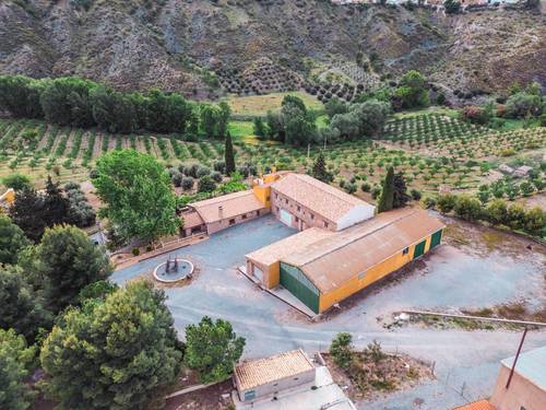 imagen 3 de El cortijo donde tus sueños se convierten en realidad