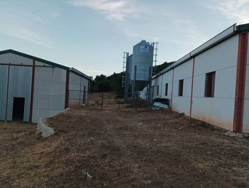 imagen 1 de VENDO ALQUILO NAVE GANADERA CUENCA CON 1200HECT