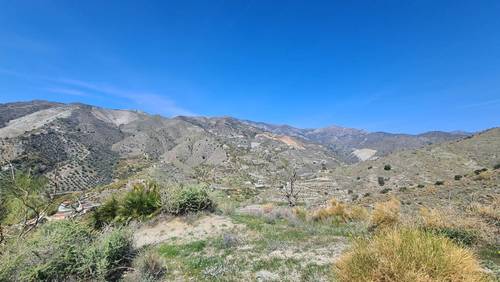 imagen 4 de FINCA RÚSTICA 4,7 HECTÁREAS CON AGUA
