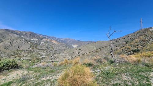 imagen 5 de FINCA RÚSTICA 4,7 HECTÁREAS CON AGUA