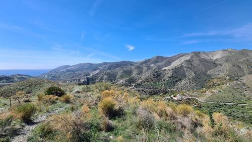 imagen 6 de FINCA RÚSTICA 4,7 HECTÁREAS CON AGUA