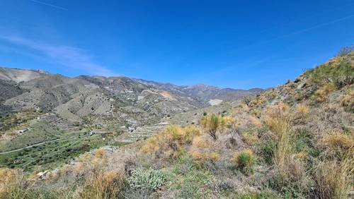 imagen 7 de FINCA RÚSTICA 4,7 HECTÁREAS CON AGUA