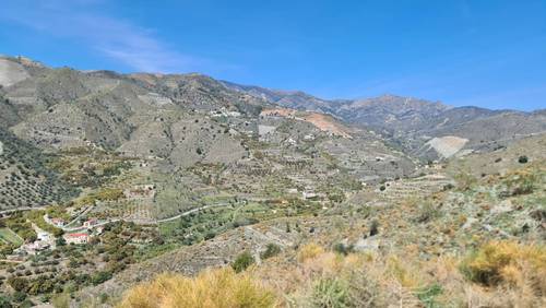 imagen 10 de FINCA RÚSTICA 4,7 HECTÁREAS CON AGUA