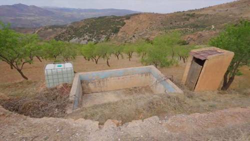 imagen 6 de Cortijo Puerta "Valle de Lecrín"