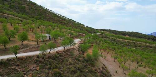 imagen 2 de Cortijo Puerta "Valle de Lecrín"